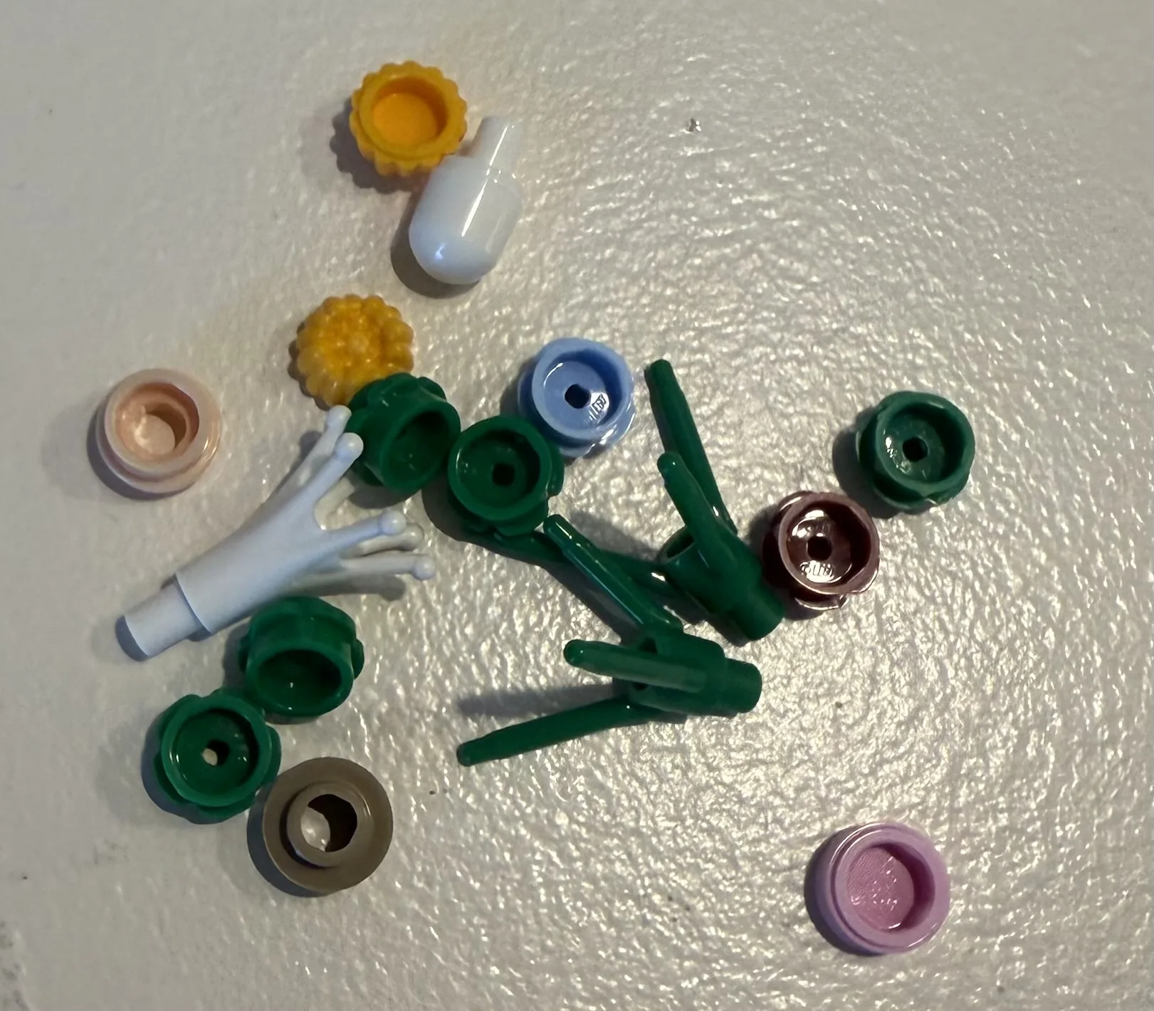 leftovers